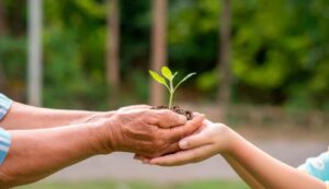 blog-1 responsabilidade social